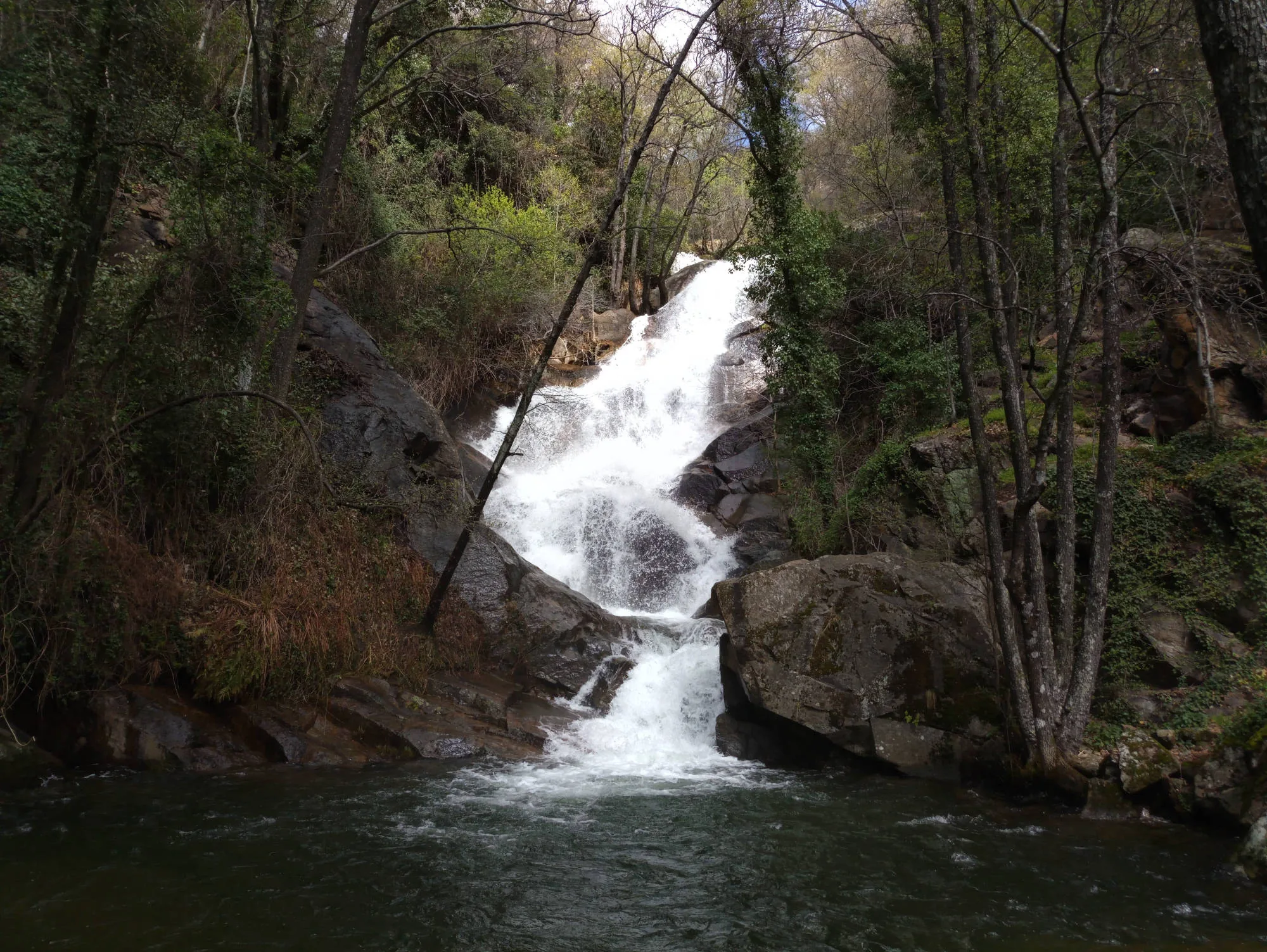 Comarca Natural Oeste de Gredos